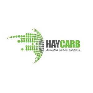HAYCARB PLC